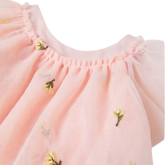 ZARA Kids | Beige-Pink | FLORAL EMBROIDERED TULLE DRESS - Picture 4 of 6
